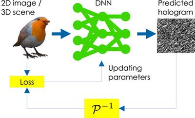 Deep-Learning Computational Holography: A Review